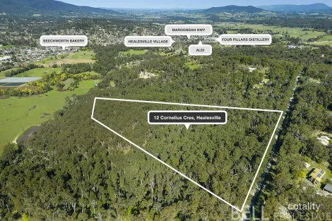 12 Cornelius Cres, Healesville, VIC 3777