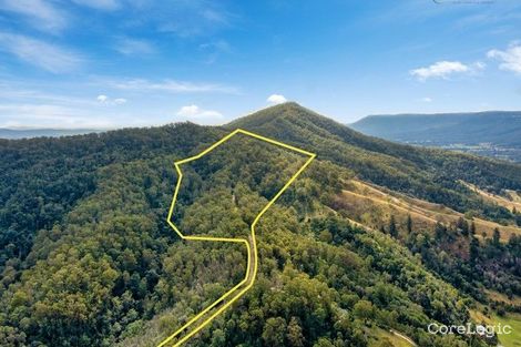 Property photo of 70 Double Crossing Road Canungra QLD 4275