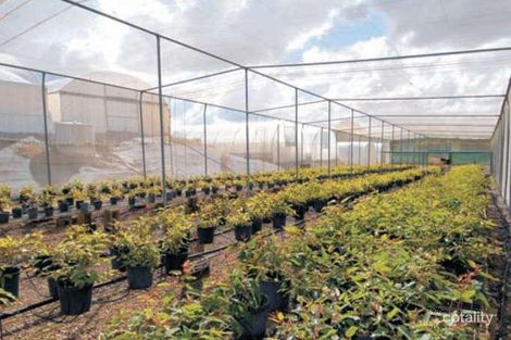 Property photo of 38 Spalls Road Diddillibah QLD 4559