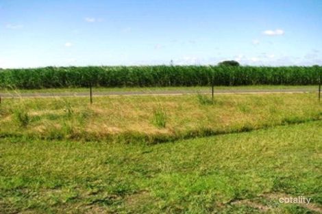 Property photo of 198 Zipfs Road Alberton QLD 4207