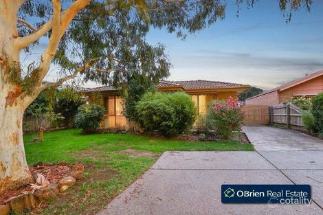 21 Theodore Tce, Berwick, VIC 3806