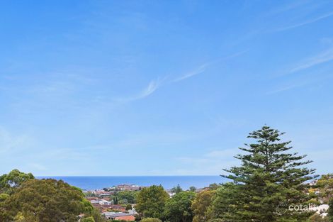 Property photo of 6/13 Macpherson Street Waverley NSW 2024