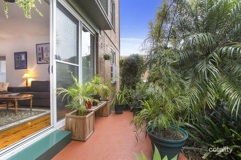 Property photo of 3/2 Blackwood Avenue Ashfield NSW 2131