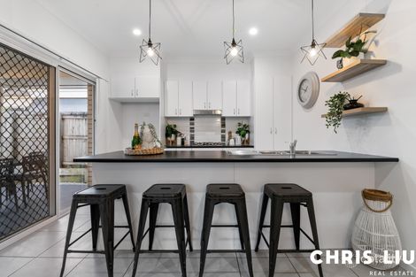 Property photo of 3 Shale Avenue Logan Reserve QLD 4133
