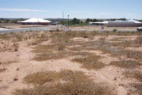 Property photo of 6 Mary Ann Street Mannum SA 5238