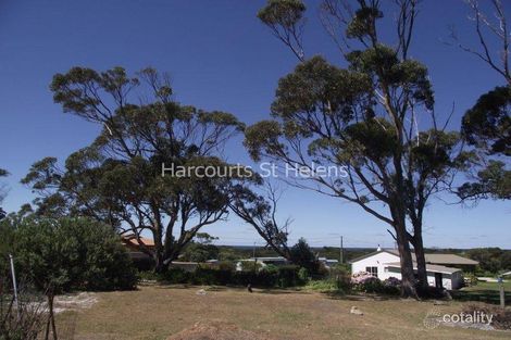 7148032 Tasman Hwy, St Helens, TAS 7216