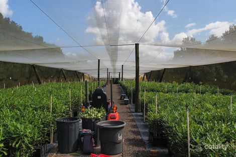 Property photo of 323 Eureka Road Eureka NSW 2480