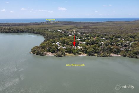 Property photo of 135 Lakes Boulevard Wooloweyah NSW 2464