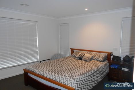 Property photo of 20 Meridian Circuit Berwick VIC 3806