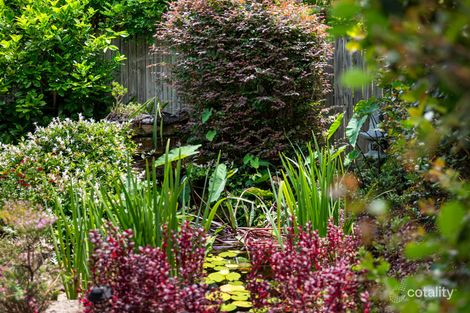 Property photo of 77 Waterton Street Annerley QLD 4103