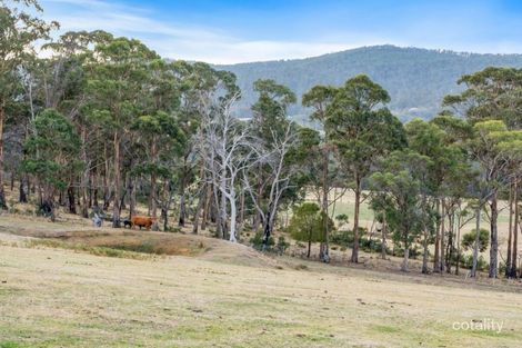 Property photo of 218 Wiggins Road Wattle Hill TAS 7172