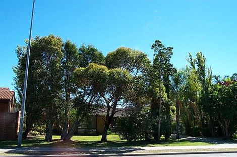 77 Parry Ave, Bull Creek, WA 6149