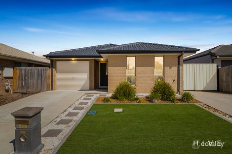 Property photo of 226 Macfarlane Burnet Avenue Macgregor ACT 2615