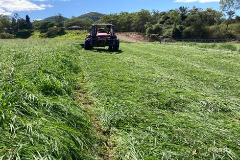 Property photo of 46 Websters Road Gargett QLD 4741