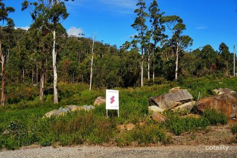 Property photo of 17 Forest Heights Drive Tugrah TAS 7310