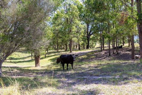 Property photo of 572 Torryburn Road Torryburn NSW 2421