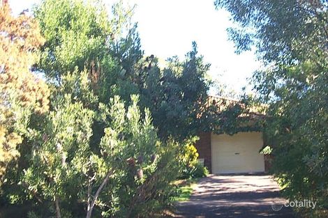 87 Cooyar St, Noosa Heads, QLD 4567