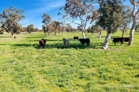 7297 Dukes Hwy, Culburra, SA 5261