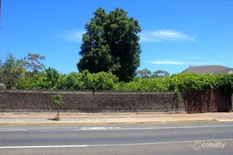 Property photo of 36 Hill Street Mitcham SA 5062