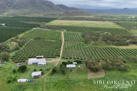 227 Top Eureka Rd, Dimbulah, QLD 4872