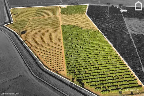 71 Bonomi Rd, Willbriggie, NSW 2680