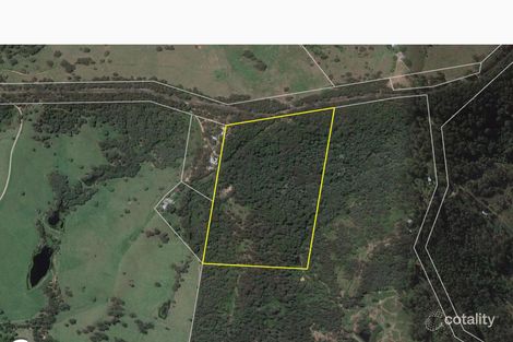 Property photo of 1161 Cooroy Belli Creek Road Ridgewood QLD 4563