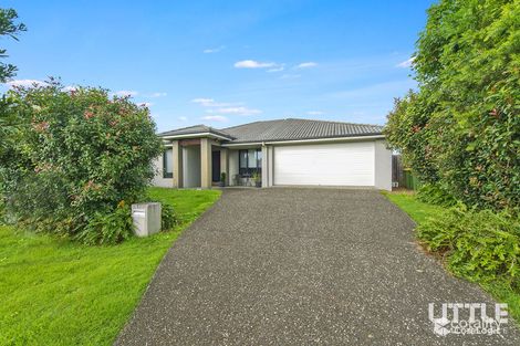 Property photo of 6 Milly Circuit Ormeau QLD 4208