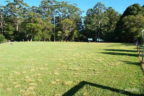 8 The Silhouette, Kew, NSW 2439