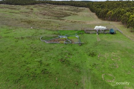 Property photo of 100 Earls Road Nelson VIC 3292