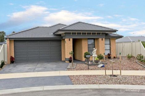5 Nirimba Ct, Ascot, VIC 3551