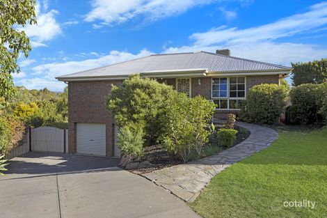 Property photo of 7 Heron Court Modbury Heights SA 5092