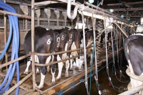 3821 Princes Hwy, Lyons, VIC 3304