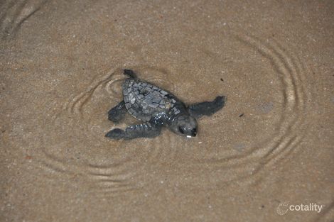 Property photo of 58 Cox Drive Wagait Beach NT 0822