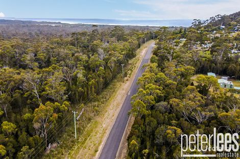 Property photo of 159 Rosedale Road Bicheno TAS 7215