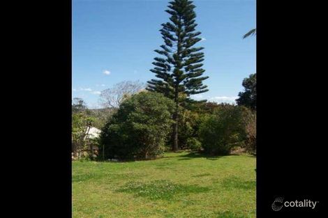 Property photo of 24 Charlotte Street Bangalow NSW 2479