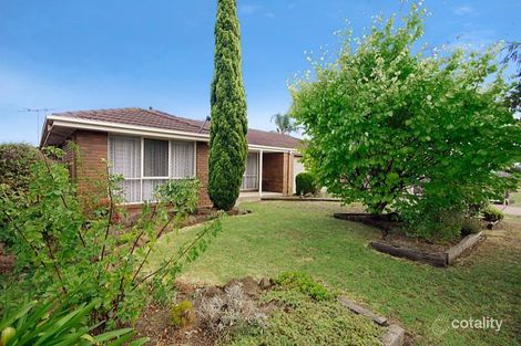 Property photo of 16 Patrick Street Whittington VIC 3219