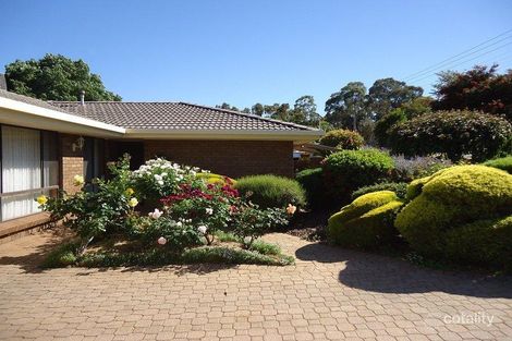 Property photo of 64 Hamilton Road Fairview Park SA 5126
