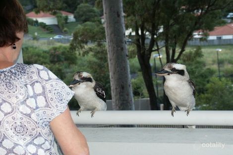 Property photo of 12/45 Lancashire Drive Mudgeeraba QLD 4213