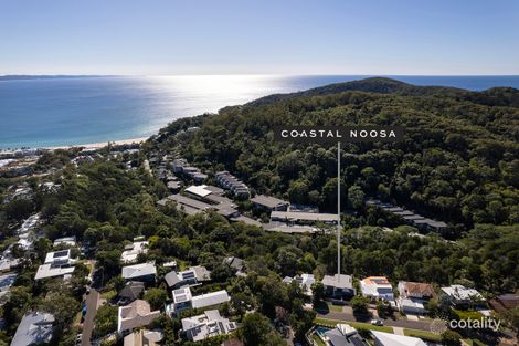 Property photo of 32 Angler Street Noosa Heads QLD 4567