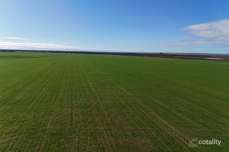 697 Solomon Rd, Perenjori, WA 6620