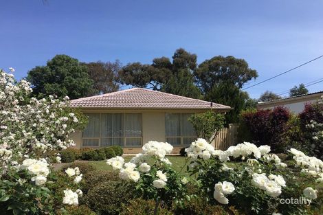 Property photo of 20 Queens Avenue Burnside SA 5066