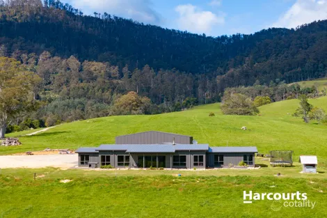 92 Petterwood Rd, Trenah, TAS 7263