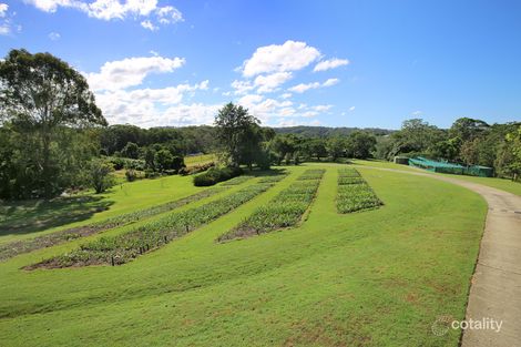 Property photo of 409 Kiel Mountain Road Diddillibah QLD 4559