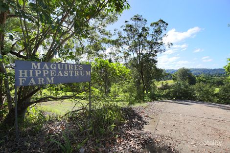 409 Kiel Mountain Rd, Diddillibah, QLD 4559