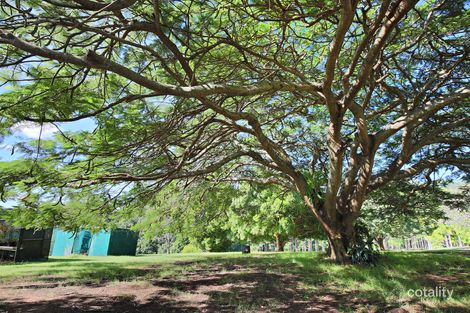 Property photo of 409 Kiel Mountain Road Diddillibah QLD 4559