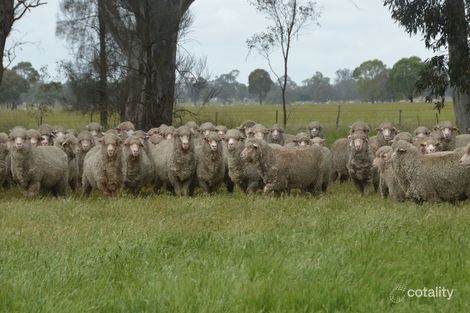 220 Edenhope-Penola Rd, Edenhope, VIC 3318