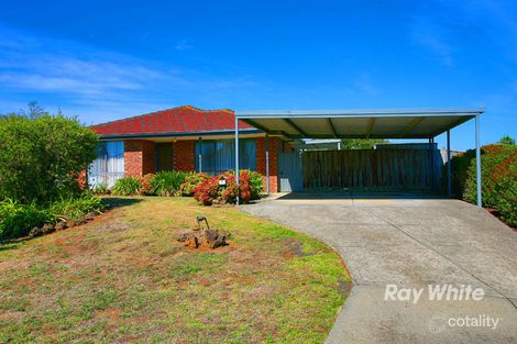 Property photo of 7 Knowing Close Cranbourne West VIC 3977