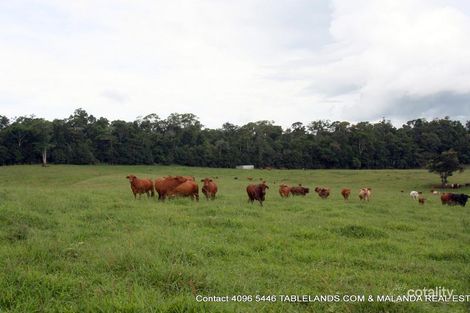 212 Westcott Rd, Topaz, QLD 4885