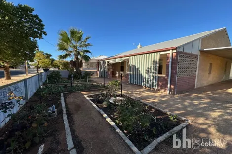 Property photo of 29 Wodonga Avenue Loxton SA 5333