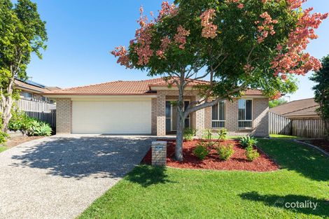 Property photo of 14 Stacer Street Upper Coomera QLD 4209